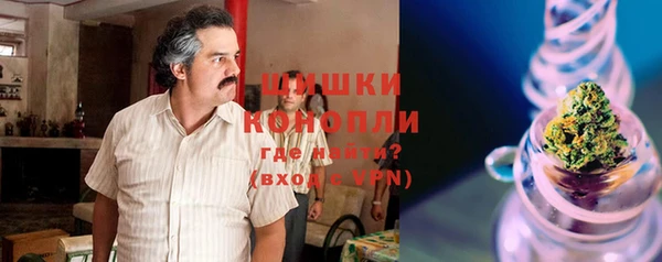 соль курить ск Белокуриха