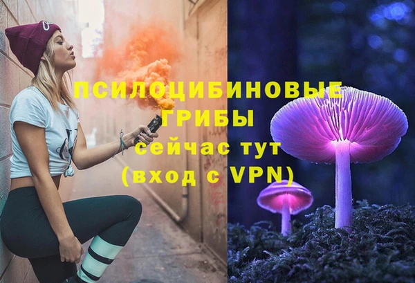 скорость Куртамыш