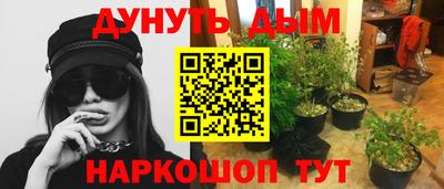 скорость Дубна