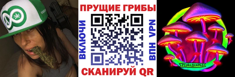 наркотики  Луховицы  blacksprut tor  Псилоцибиновые грибы ЛСД 