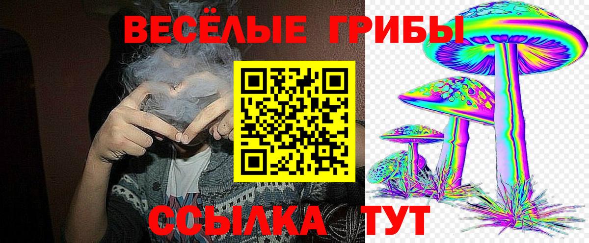 Галлюциногенные грибы мицелий Луховицы